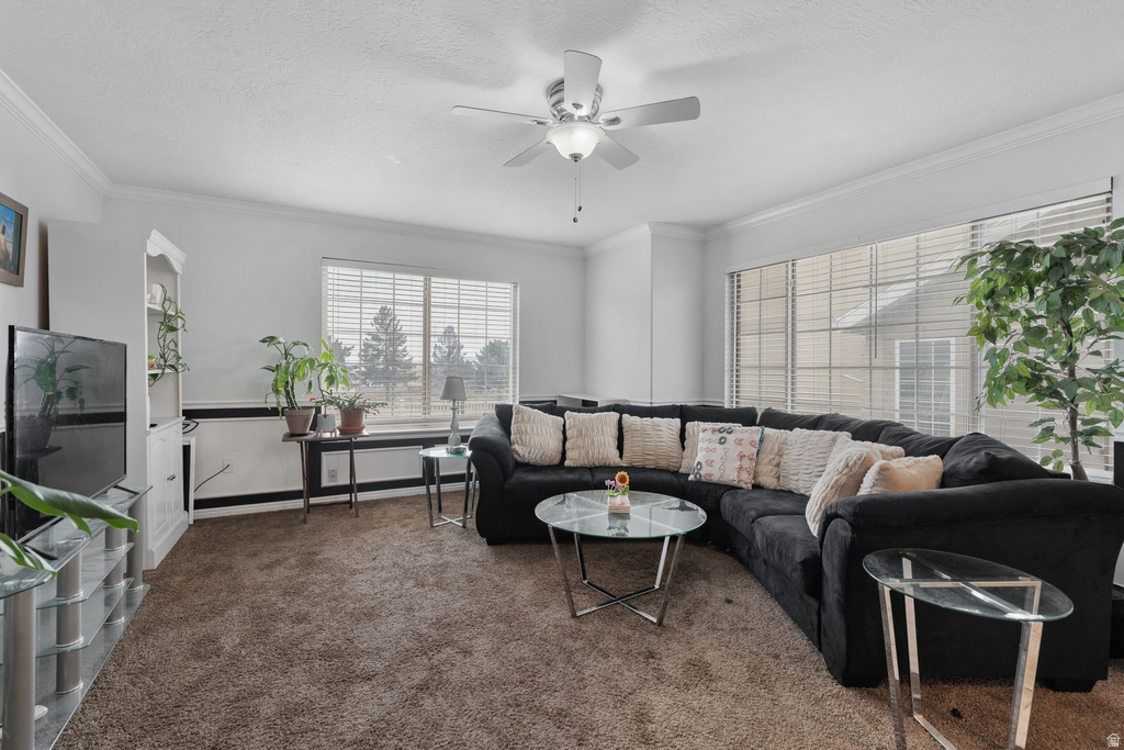 454 N 1235 W Orem, UT 84057