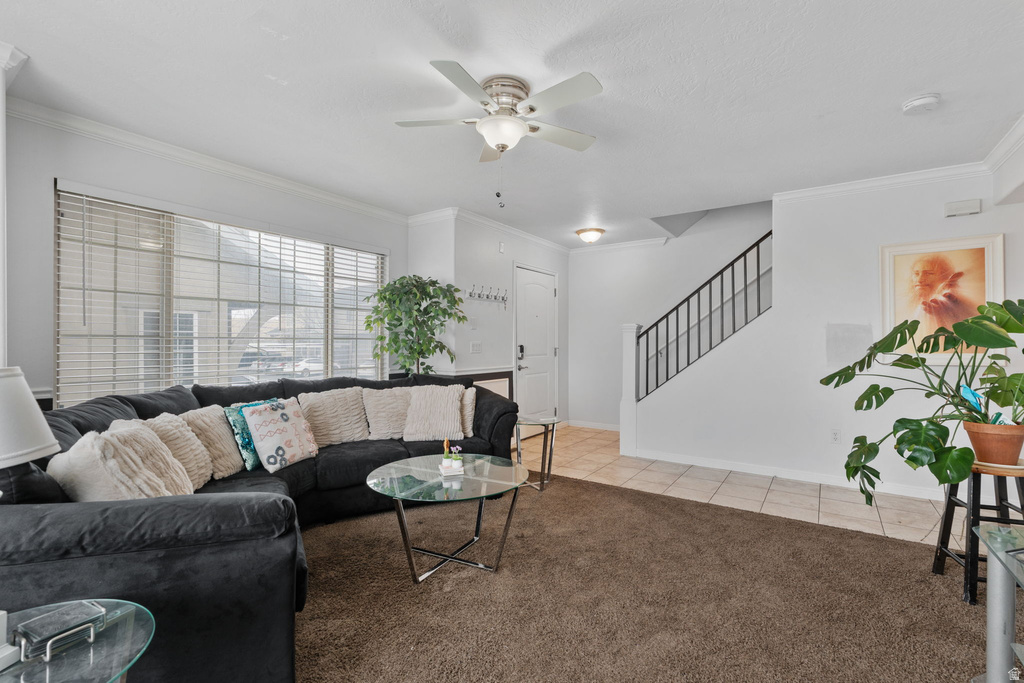 454 N 1235 W Orem, UT 84057