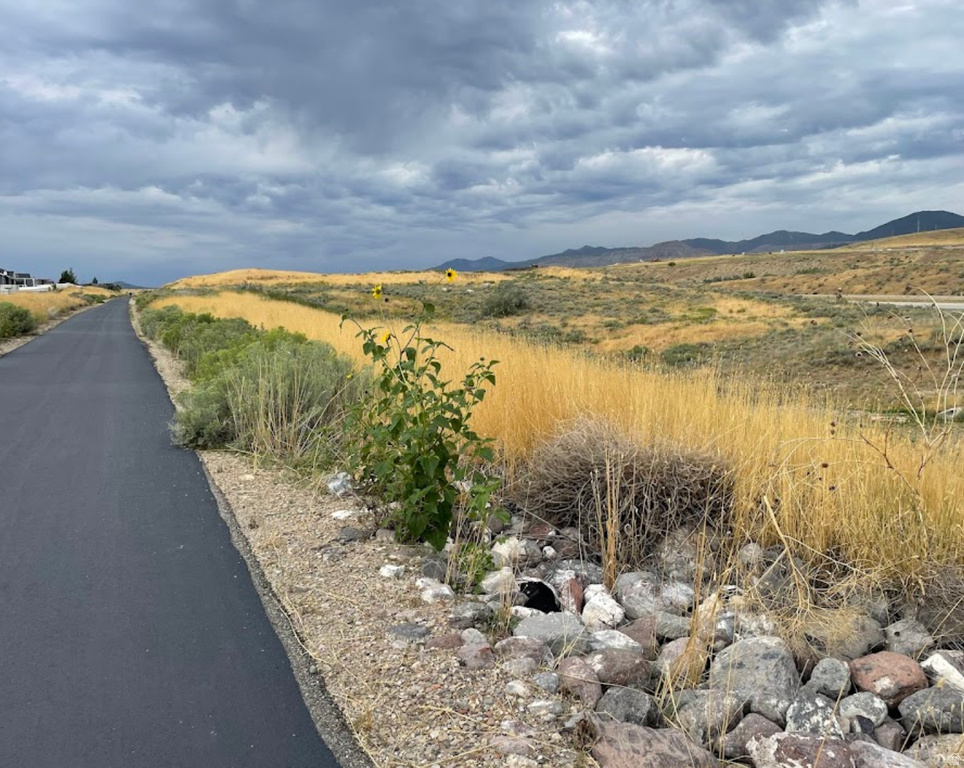 6577 S HIGH BLUFF DR West Valley City, UT 84118