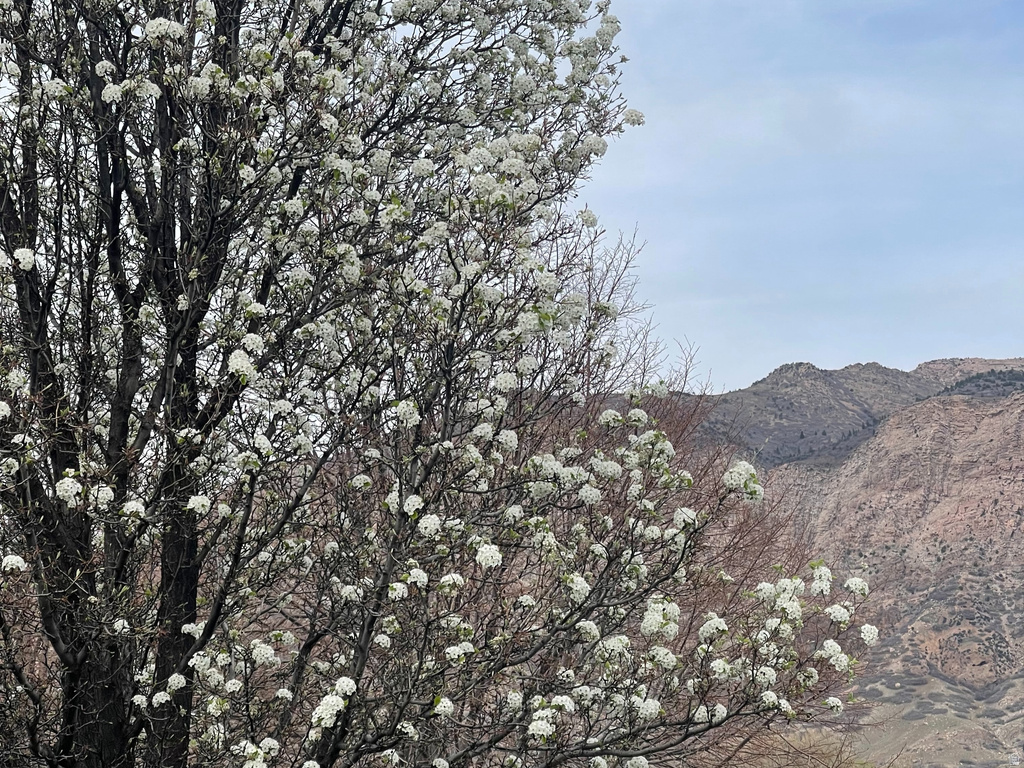 101 1501 MONROE #101 Ogden, UT 84404