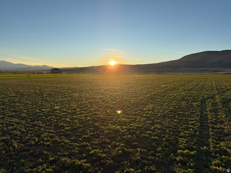 1445 S 800 E Trenton, UT 84338