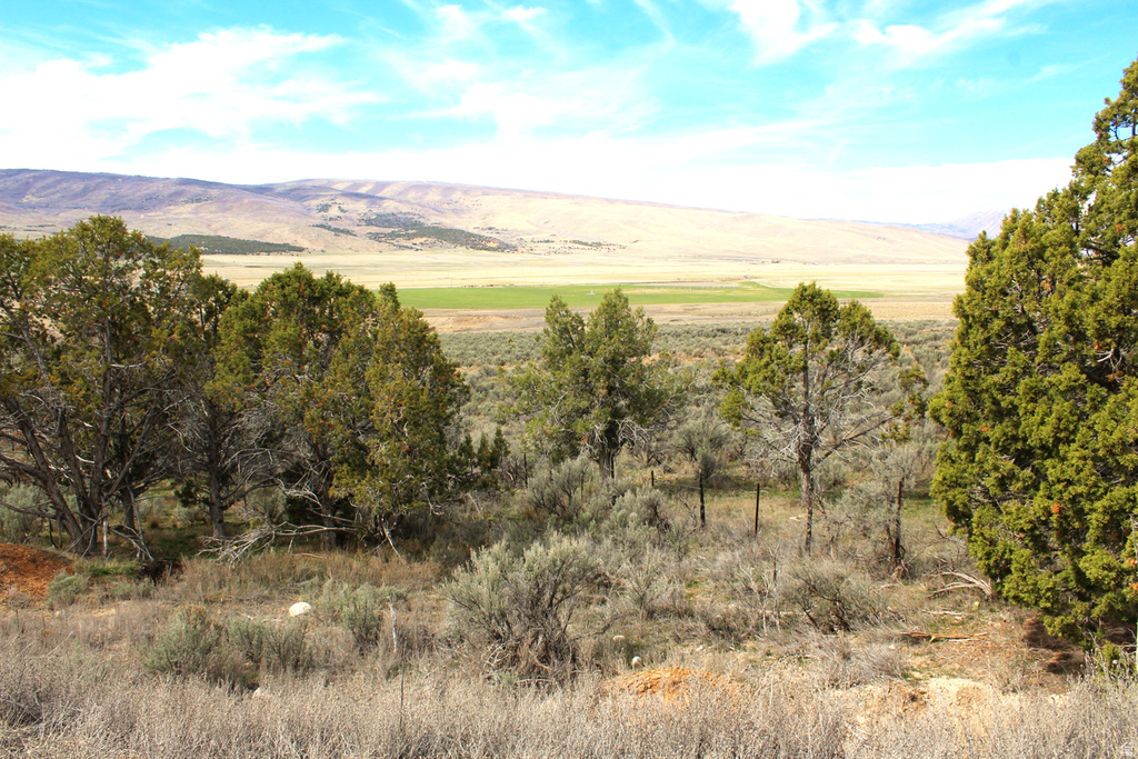 N Indianola, UT 84629