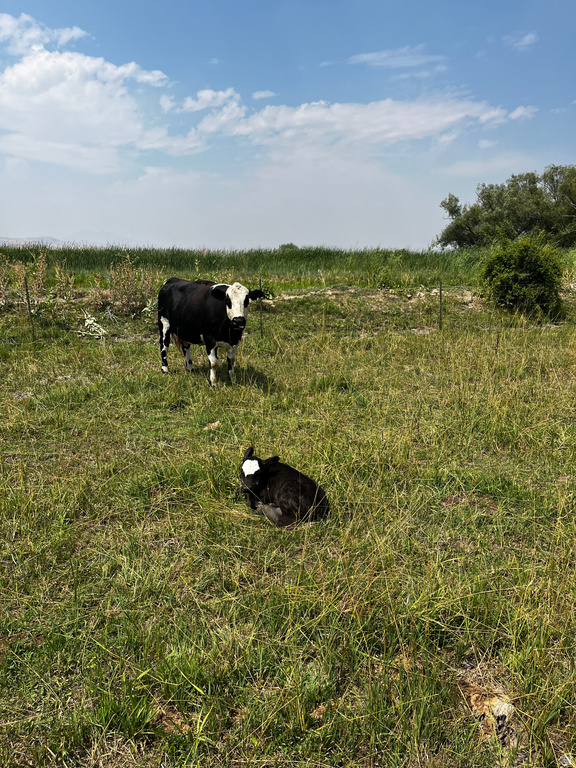 100 S 3600 W Logan, UT 84321