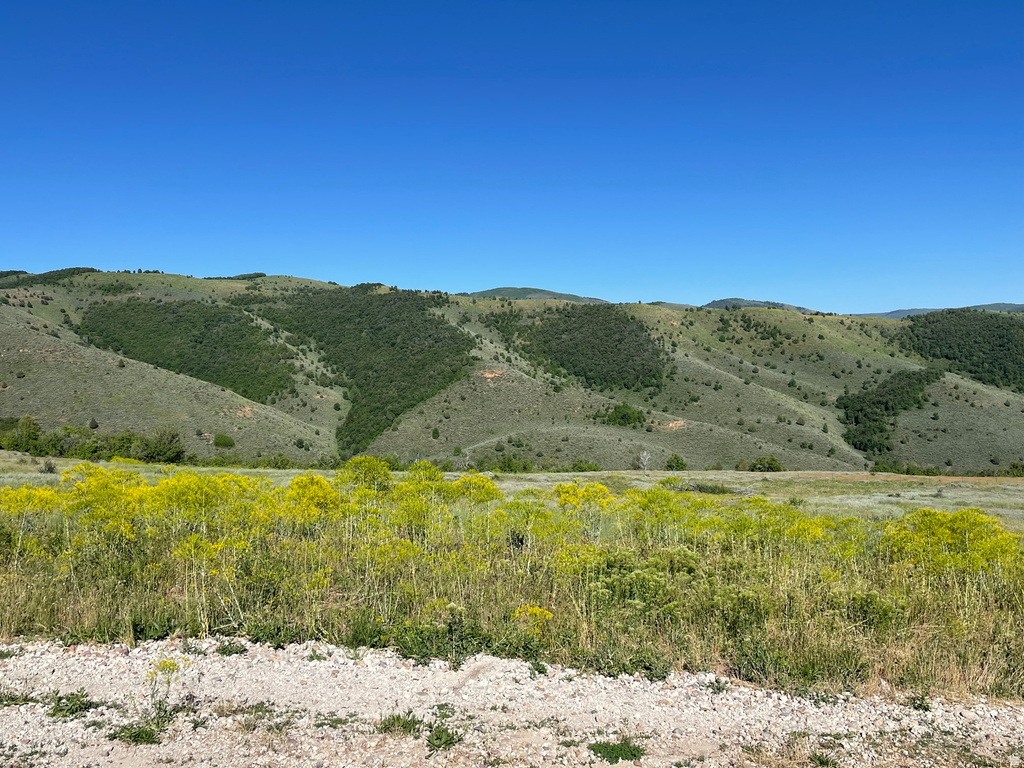 3348 N WATER CANYON CIR Huntsville, UT 84317