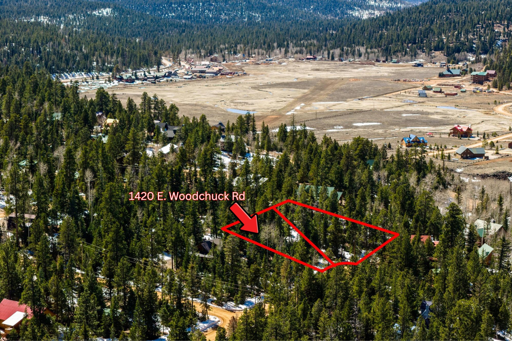 1420 E WOODCHUCK RD Duck Creek Village, UT 84762