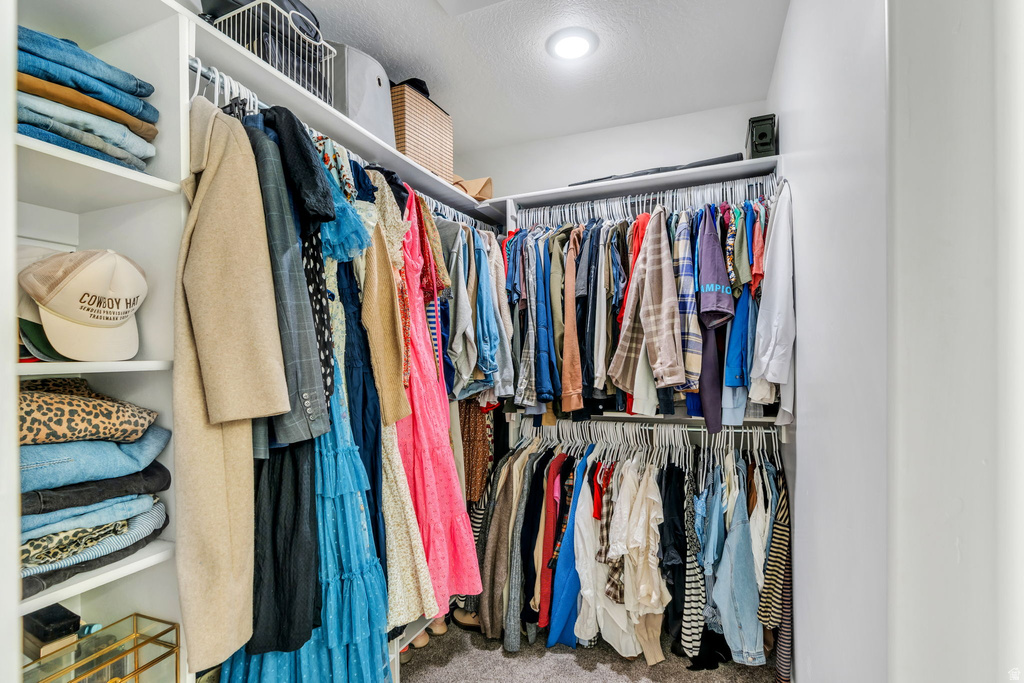 13907 S CANAAN PEAK DR Herriman, UT 84096