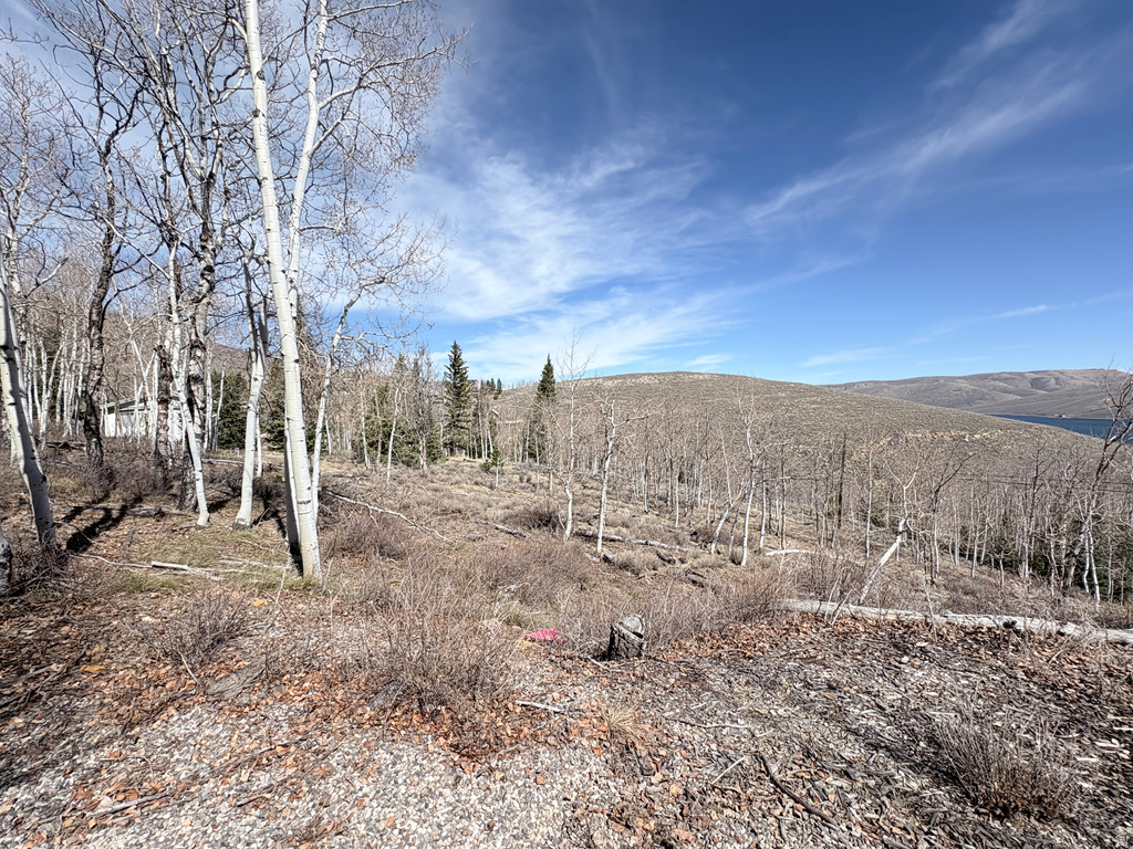 10  LAKEVIEW DR Scofield, UT 84526