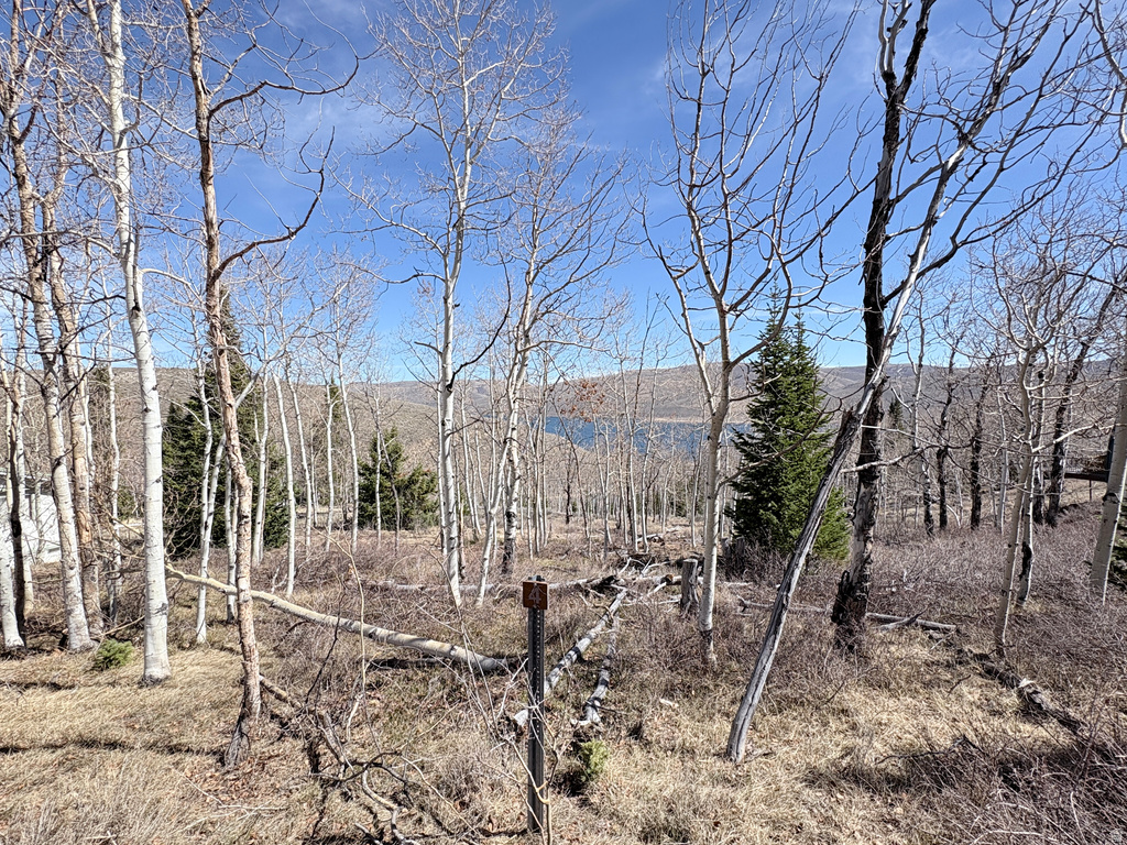 10  LAKEVIEW DR Scofield, UT 84526