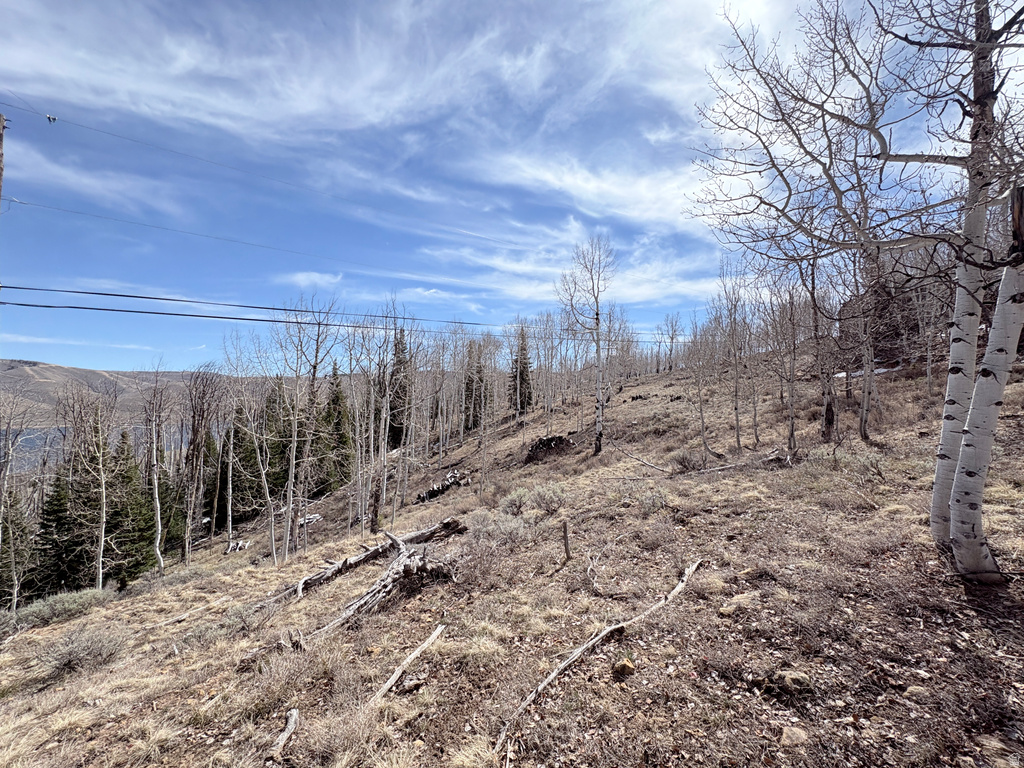 10  LAKEVIEW DR Scofield, UT 84526