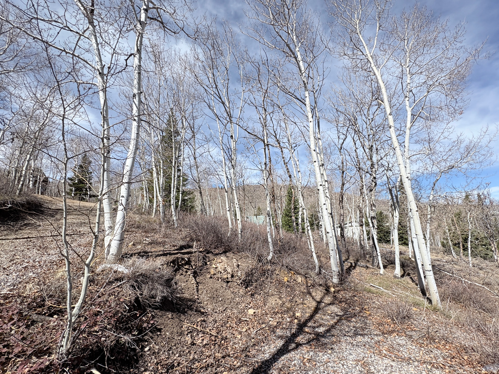 10  LAKEVIEW DR Scofield, UT 84526