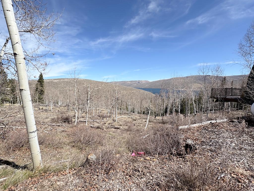 10  LAKEVIEW DR Scofield, UT 84526