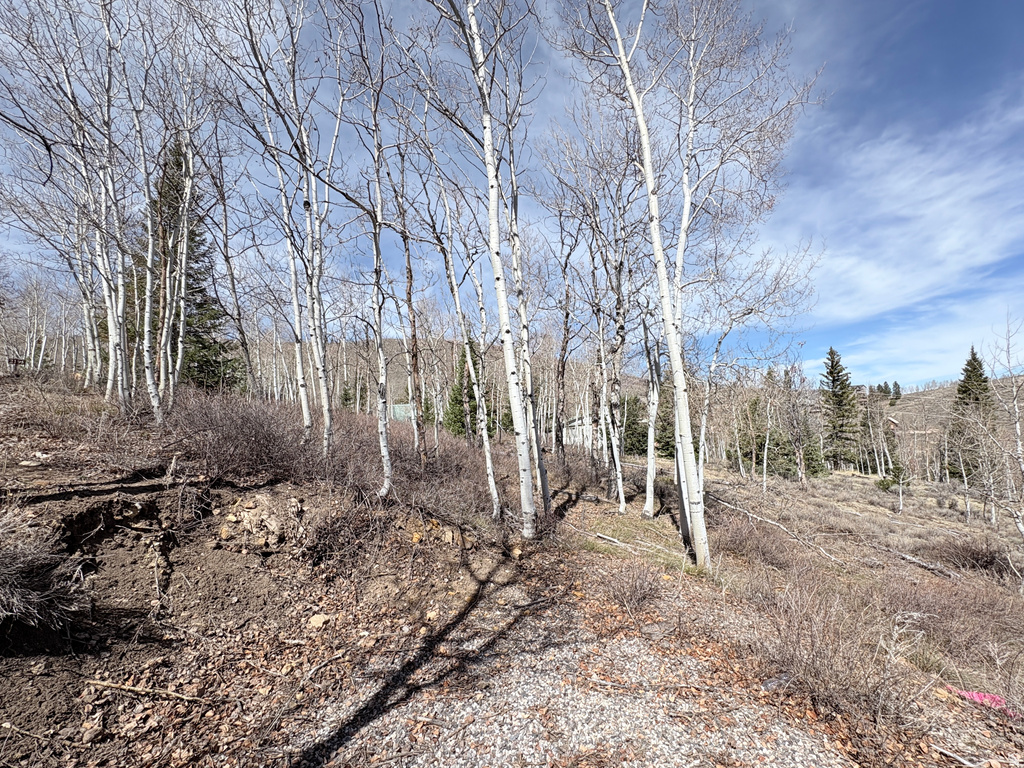 10  LAKEVIEW DR Scofield, UT 84526