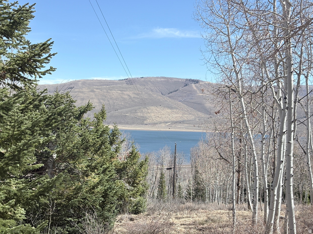 10  LAKEVIEW DR Scofield, UT 84526