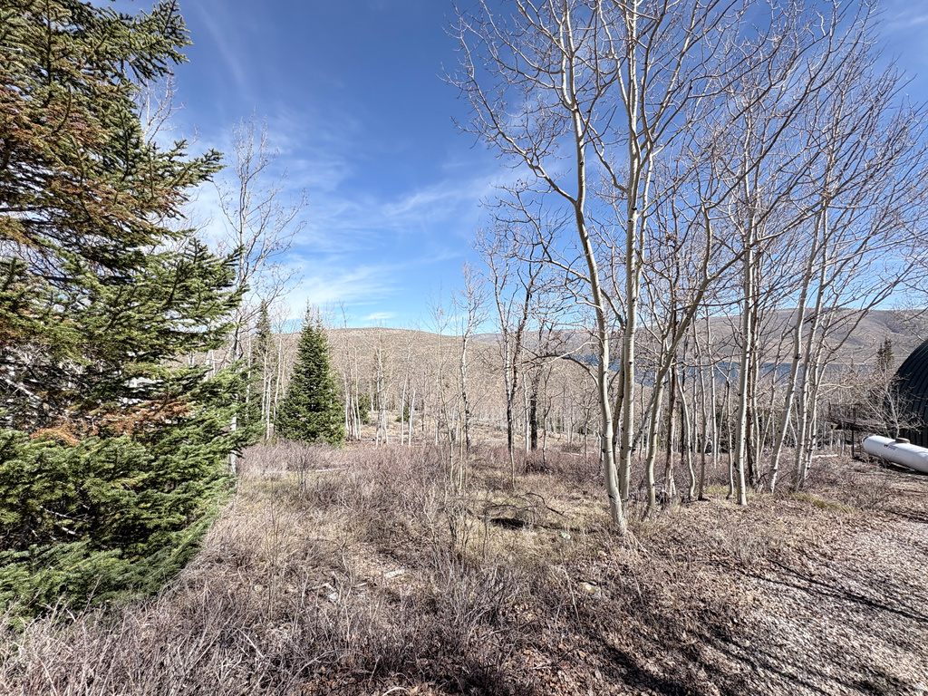 10  LAKEVIEW DR Scofield, UT 84526