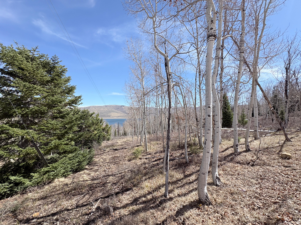 10  LAKEVIEW DR Scofield, UT 84526