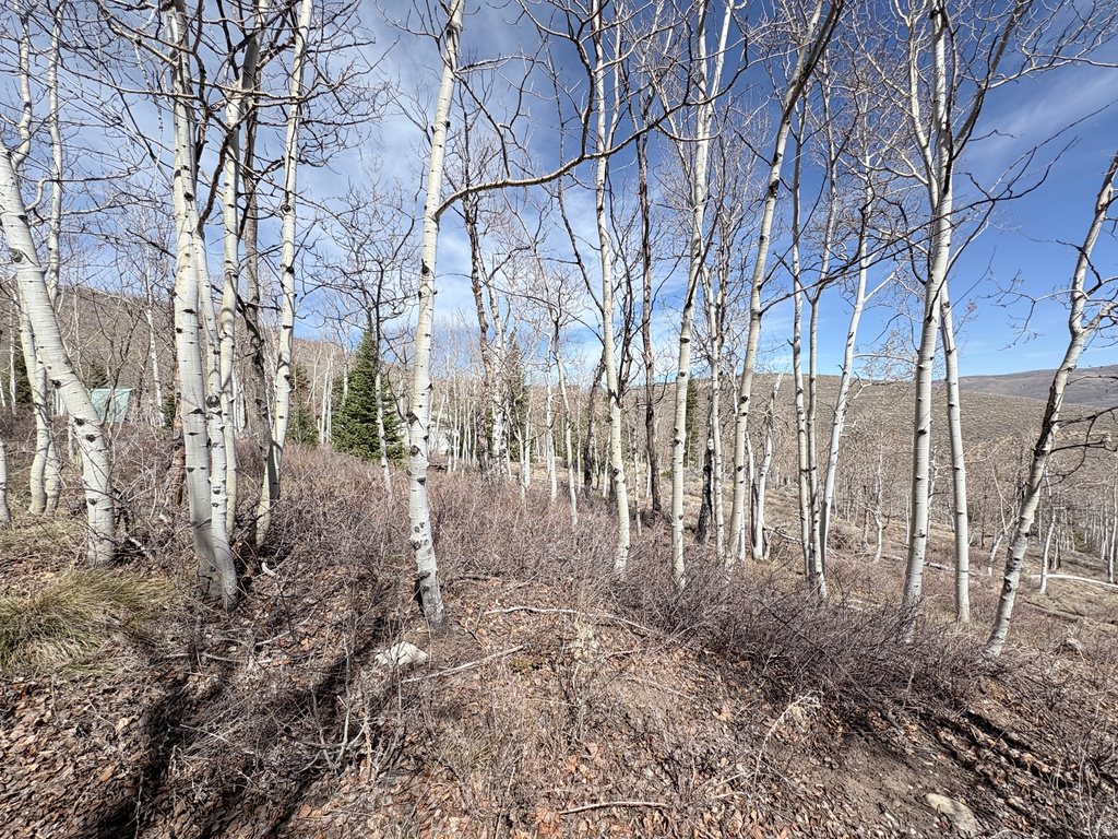 10  LAKEVIEW DR Scofield, UT 84526