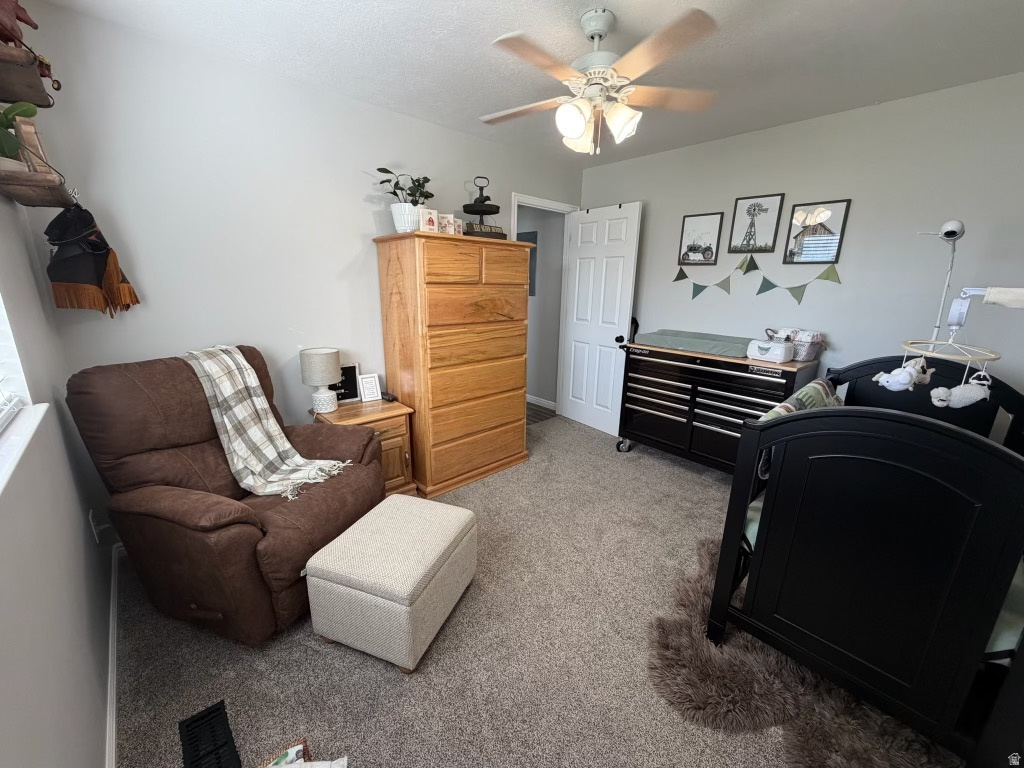 246 S 200 E Mt Pleasant, UT 84647