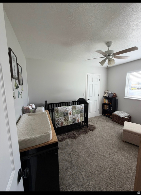 246 S 200 E Mt Pleasant, UT 84647