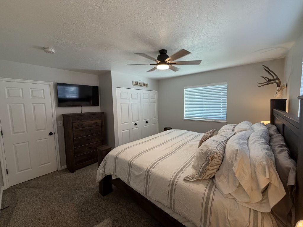 246 S 200 E Mt Pleasant, UT 84647