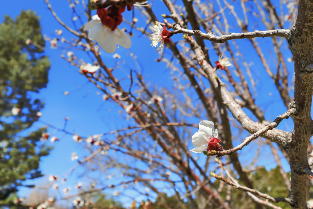 2076 SUMMERWOOD DR Farmington, UT 84025