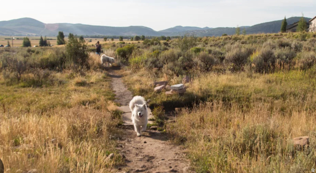 5655 N OSLO LN Park City, UT 84098