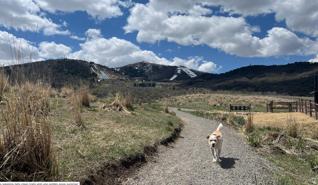 5655 N OSLO LN Park City, UT 84098