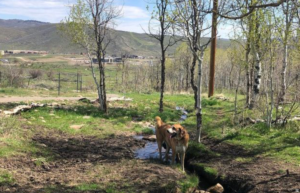 5655 N OSLO LN Park City, UT 84098