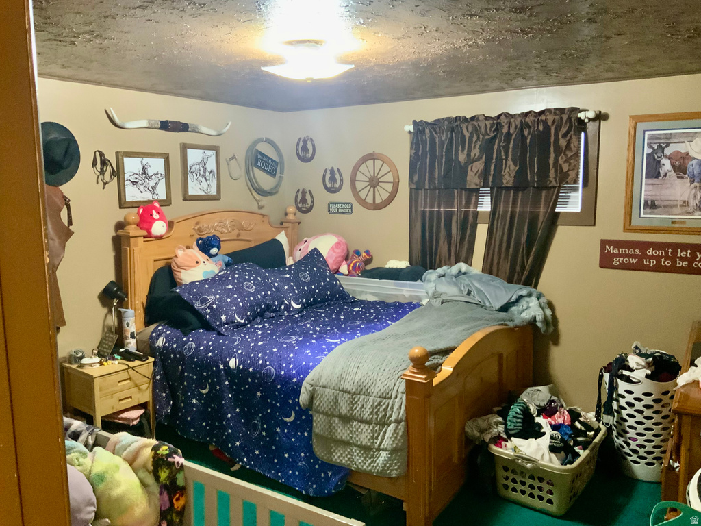 154 S 300 E Monroe, UT 84754