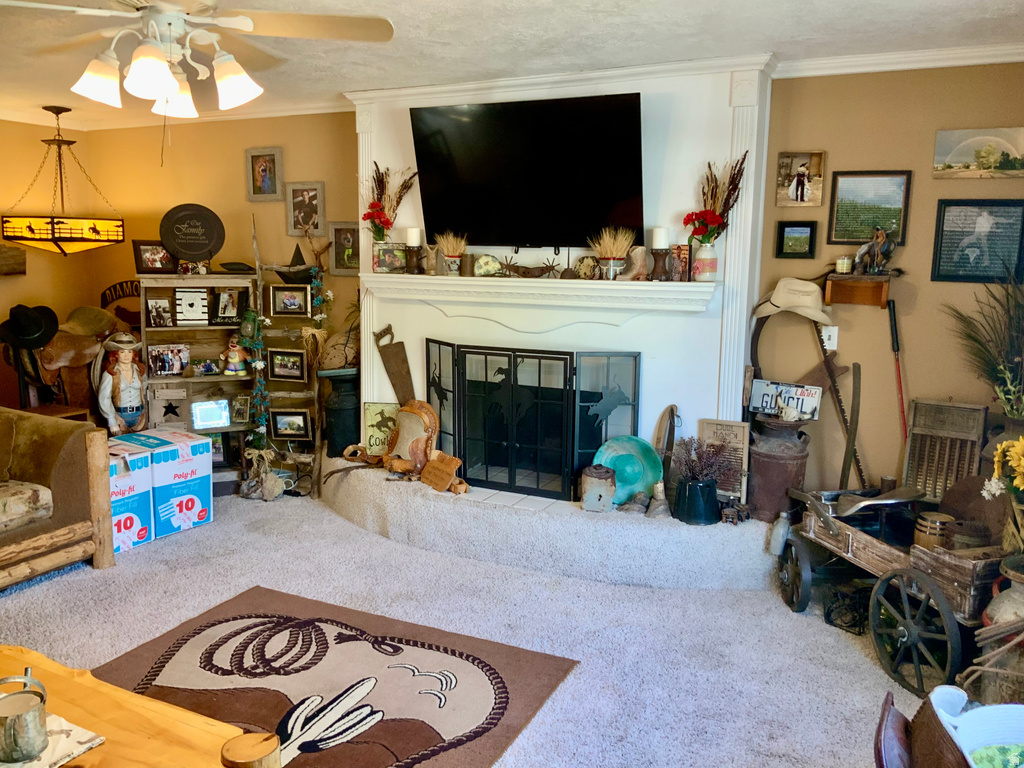 154 S 300 E Monroe, UT 84754