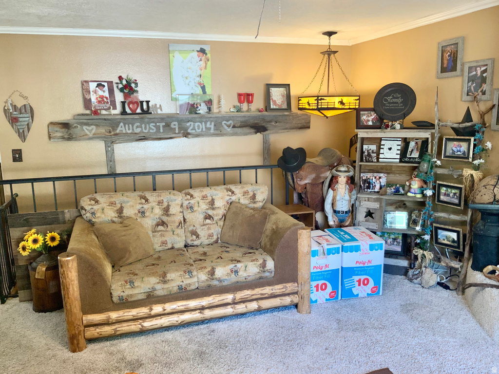 154 S 300 E Monroe, UT 84754