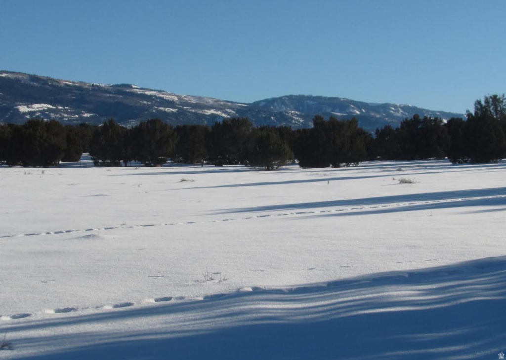 13800 N 6245 E Spring City, UT 84662