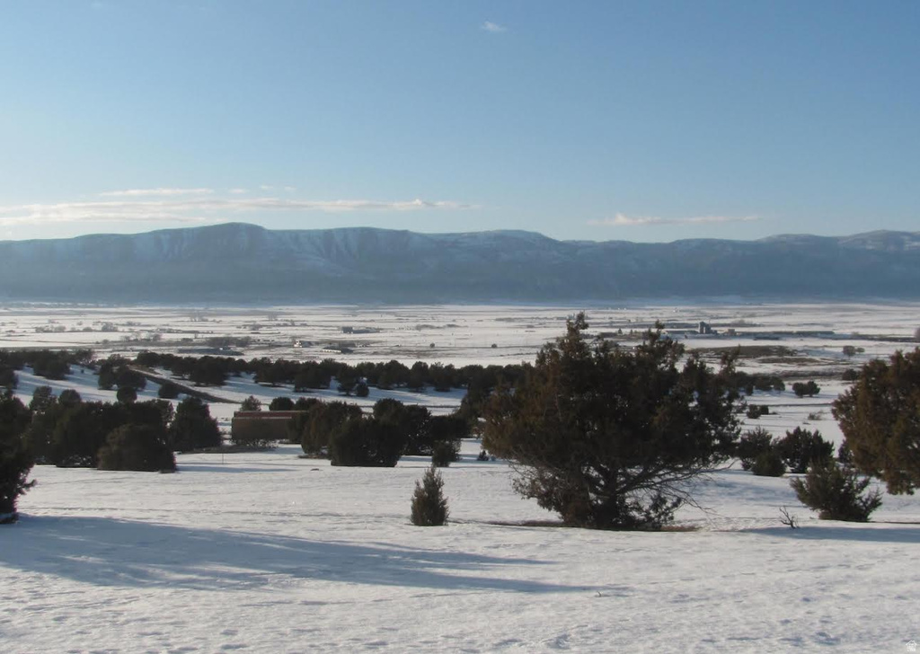 13800 N 6245 E Spring City, UT 84662