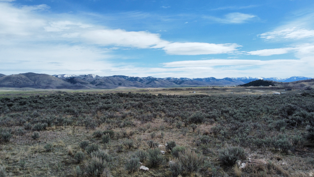  Soda Springs, ID 83276