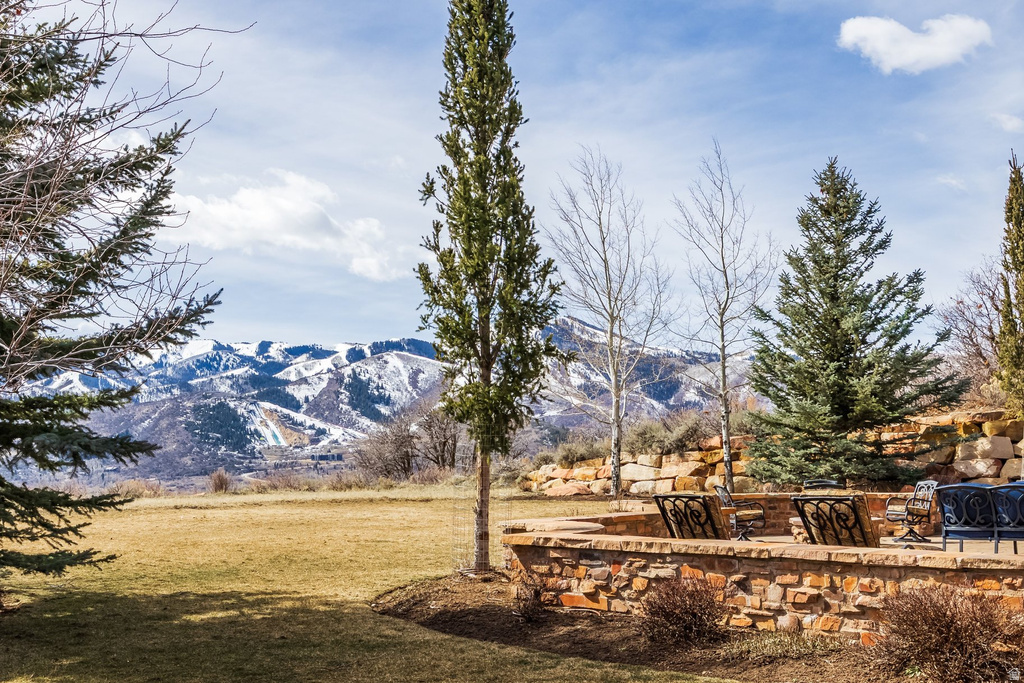 1083 SNOW BERRY ST Park City, UT 84098