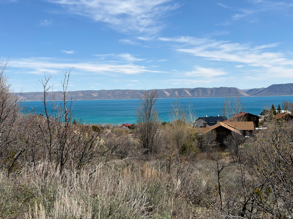 117  HOLLOW DR Fish Haven, ID 83287