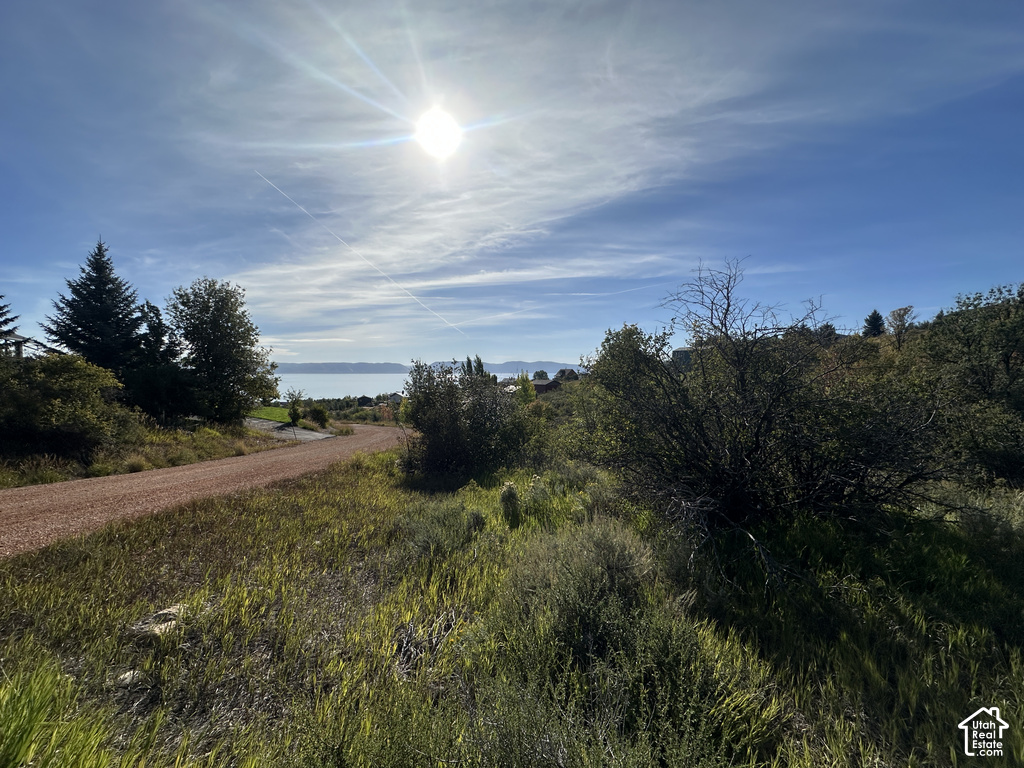 View photos for 117 Hollow Dr 117 Hollow Dr