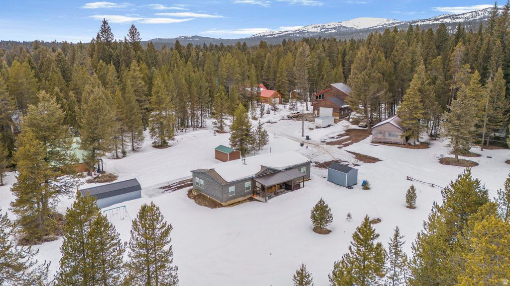 3544 BROWNING RD Island Park, ID 83429