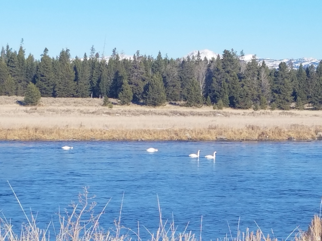 3544 BROWNING RD Island Park, ID 83429