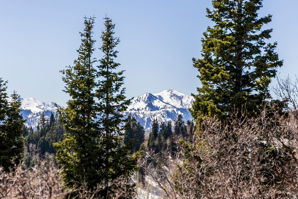 11452 N CHURCH RD Park City, UT 84098