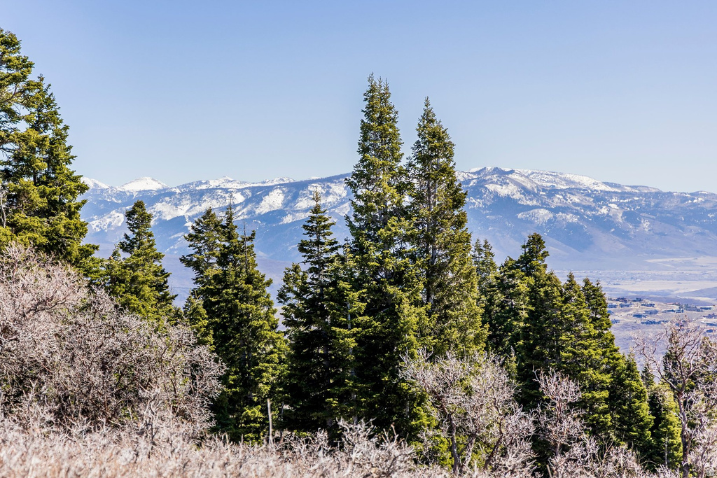 11452 N CHURCH RD Park City, UT 84098