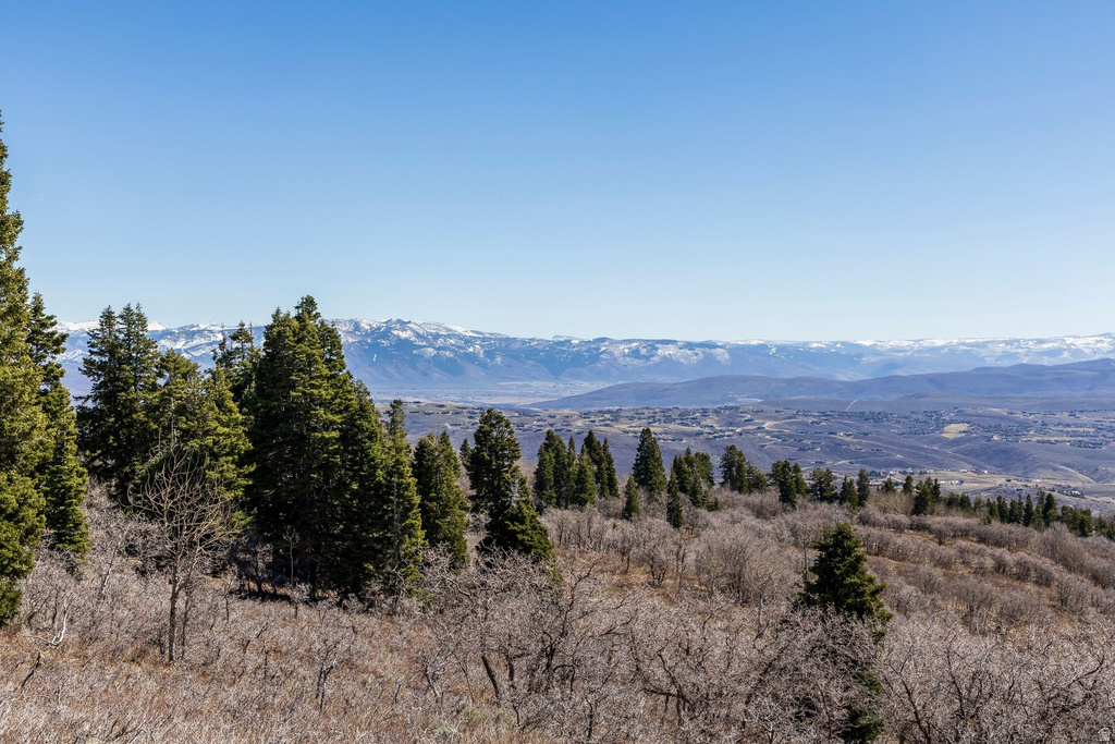 11452 N CHURCH RD Park City, UT 84098