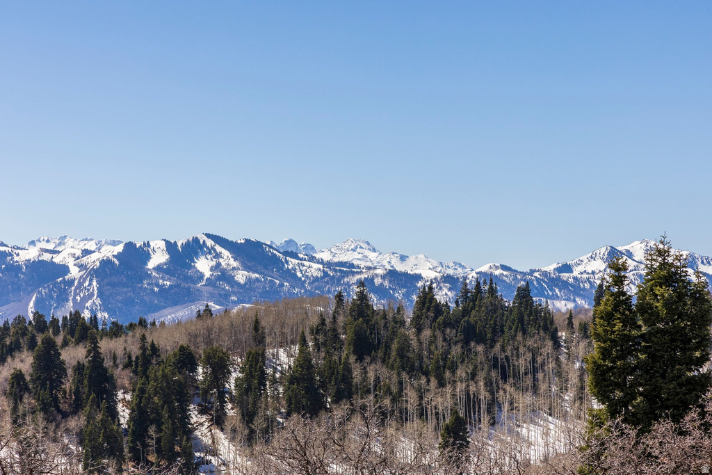 11452 N CHURCH RD Park City, UT 84098