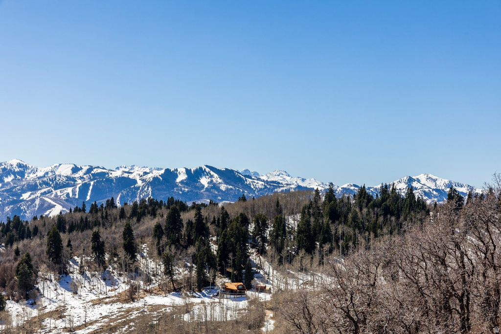 11452 N CHURCH RD Park City, UT 84098