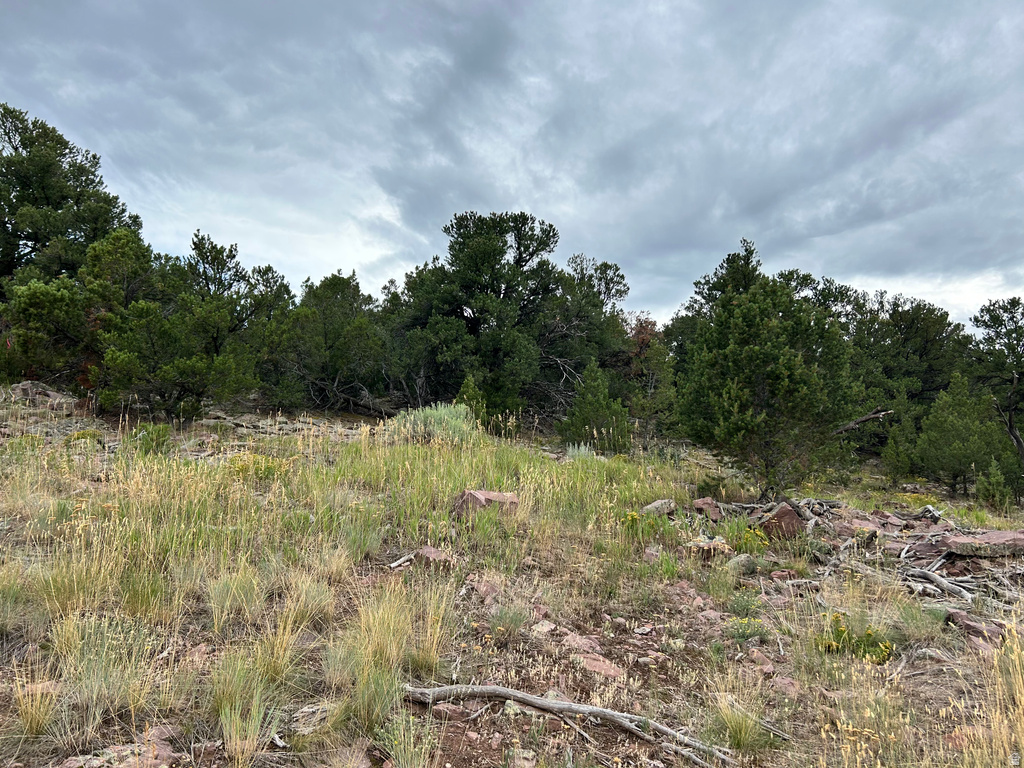 102  KESTREL CIR Dutch John, UT 84023