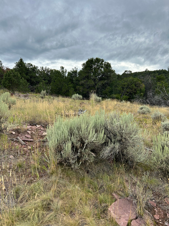 102  KESTREL CIR Dutch John, UT 84023