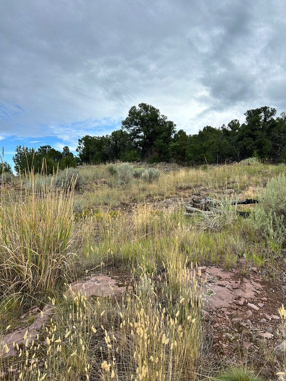 102  KESTREL CIR Dutch John, UT 84023