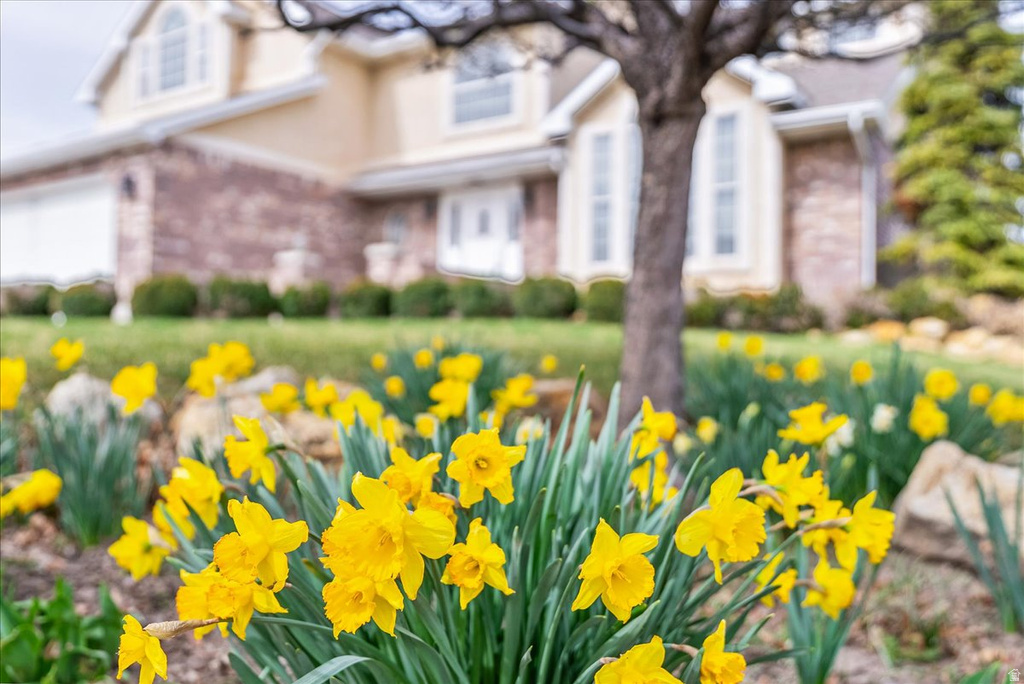 2486 W WINDING WAY South Jordan, UT 84095