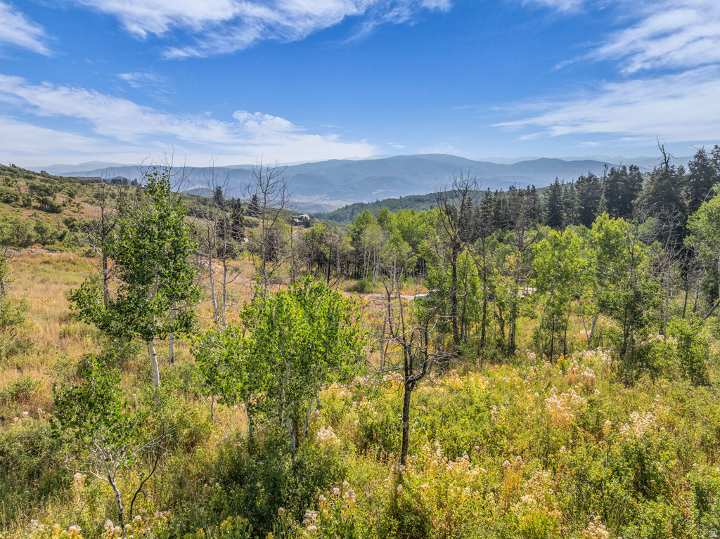 2412 S BULL MOOSE DR Coalville, UT 84017