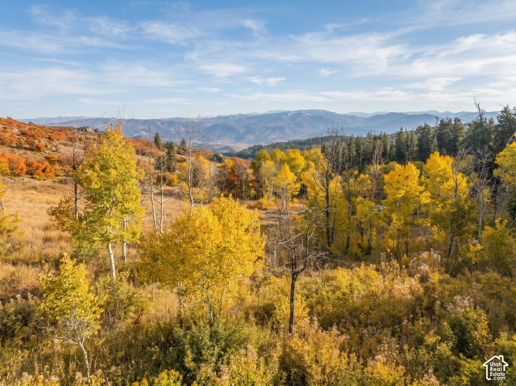 View photos for 2412 S Bull Moose Dr 2412 S Bull Moose Dr