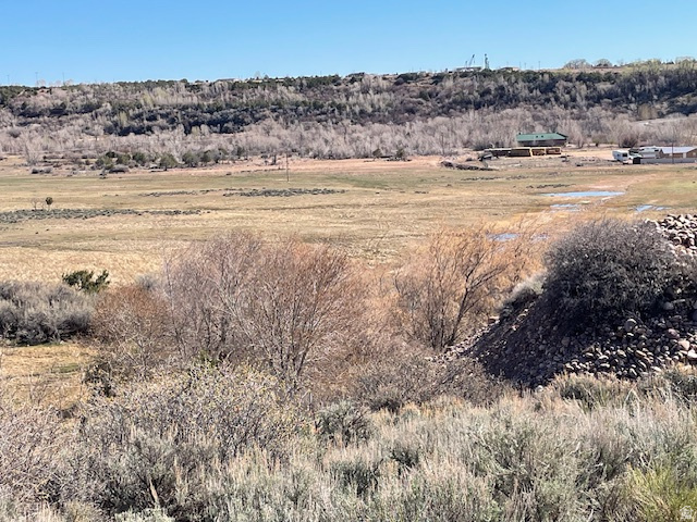 17464 W 3750 N Altamont, UT 84001